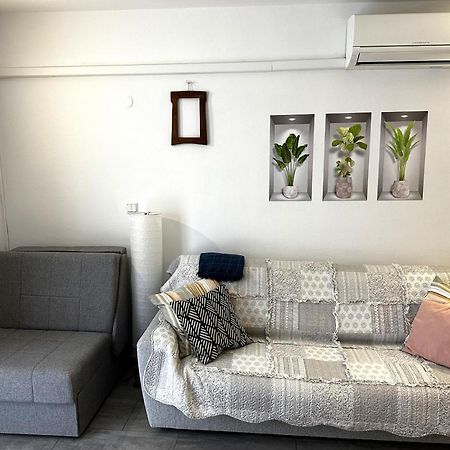 Mirta Deluxe Superior 5 Star Apartment, Your Piece Of Heaven By The Sea & Park, With Sea & Park View Novigrad Istria Εξωτερικό φωτογραφία