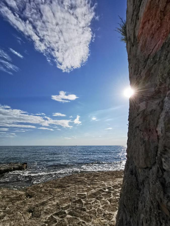 Mirta Deluxe Superior 5 Star Apartment, Your Piece Of Heaven By The Sea & Park, With Sea & Park View Novigrad Istria Εξωτερικό φωτογραφία