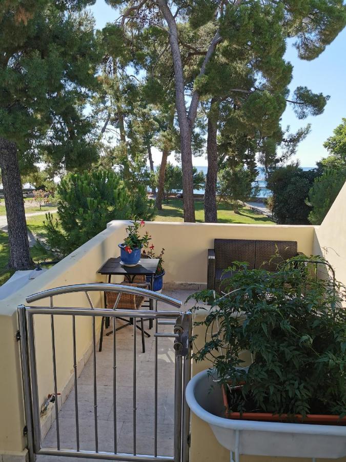 Mirta Deluxe Superior 5 Star Apartment, Your Piece Of Heaven By The Sea & Park, With Sea & Park View Novigrad Istria Εξωτερικό φωτογραφία